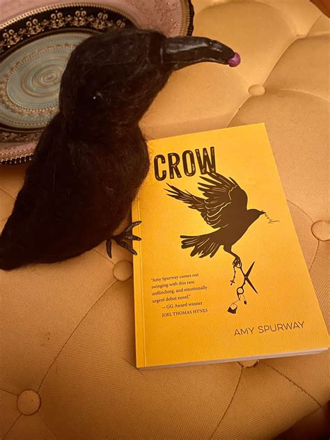 NovelCrow .